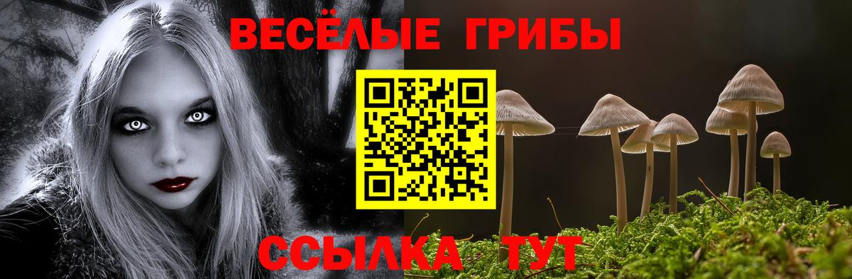 Галлюциногенные грибы Psilocybe  купить наркотик  Ноябрьск  Вход с VPN  Псилоцибиновые грибы Psilocybe 